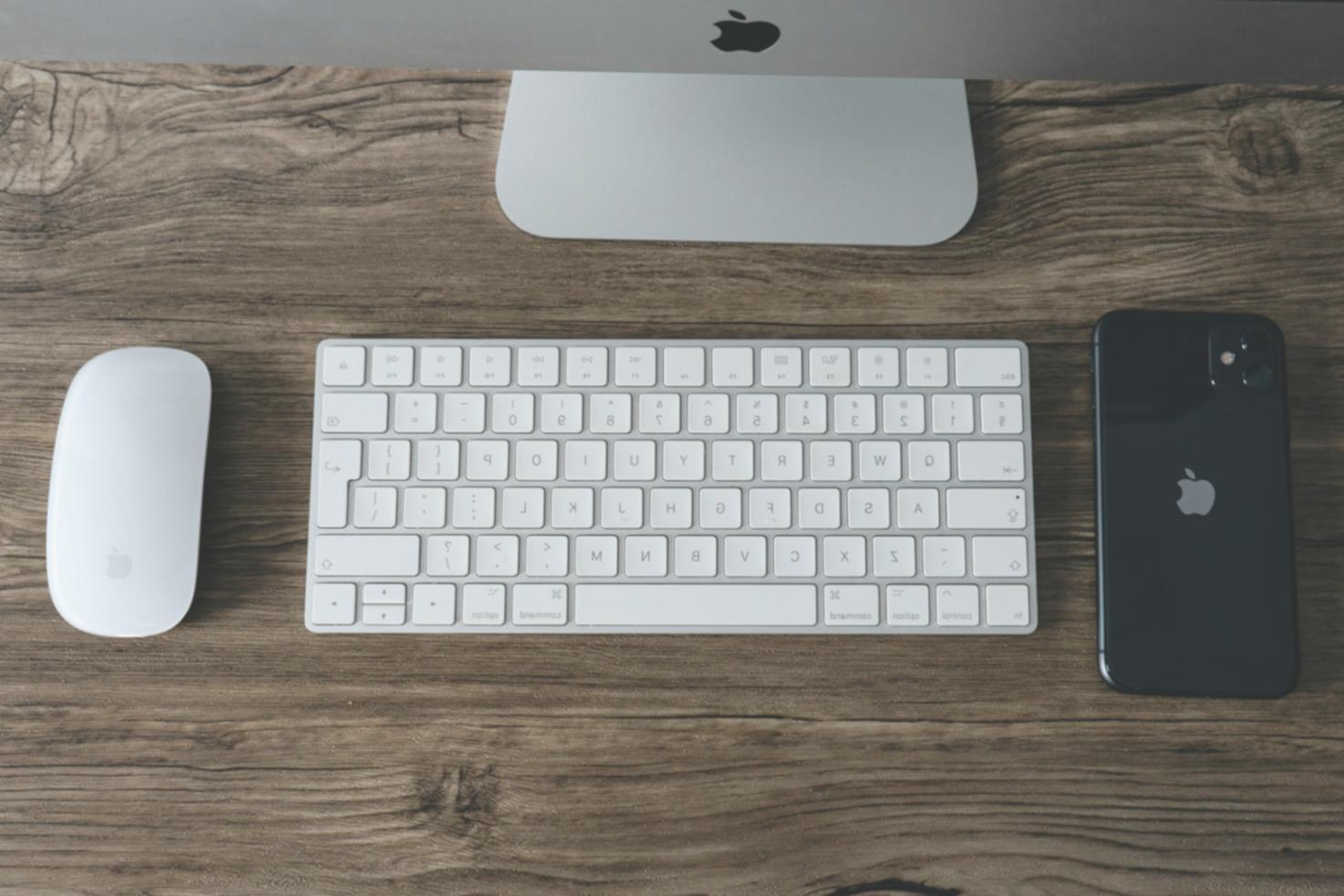 Mobile SEO analysis session with local business owner reviewing search performance data